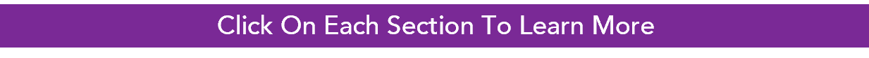 Click On Each Section