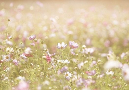 5ReasonsHopeful-header2