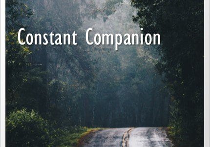 Constant-Companion-sq
